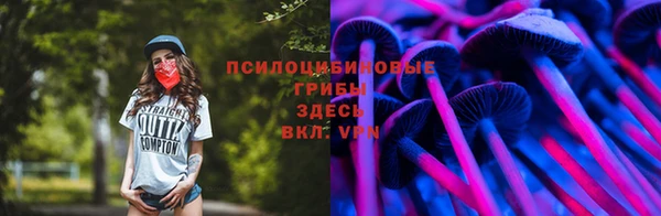 МДМА Снежногорск