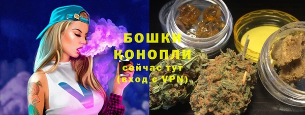 сатива Армянск