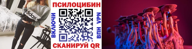 где найти   Хвалынск  Галлюциногенные грибы прущие грибы 